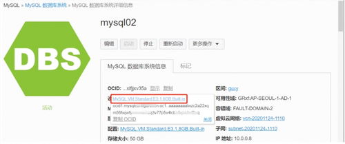 全面掌握甲骨文云 OCI MySQL 服务 从自动运维到高效管理的数据库管理及咨询实战指南